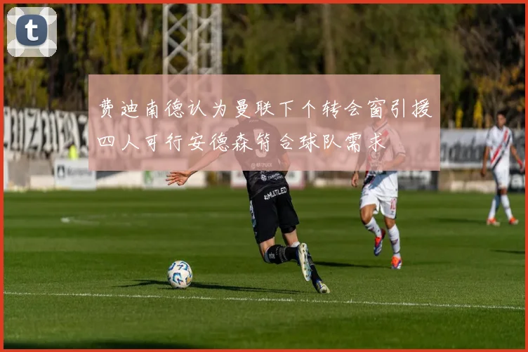 费迪南德认为曼联下个转会窗引援四人可行安德森符合球队需求